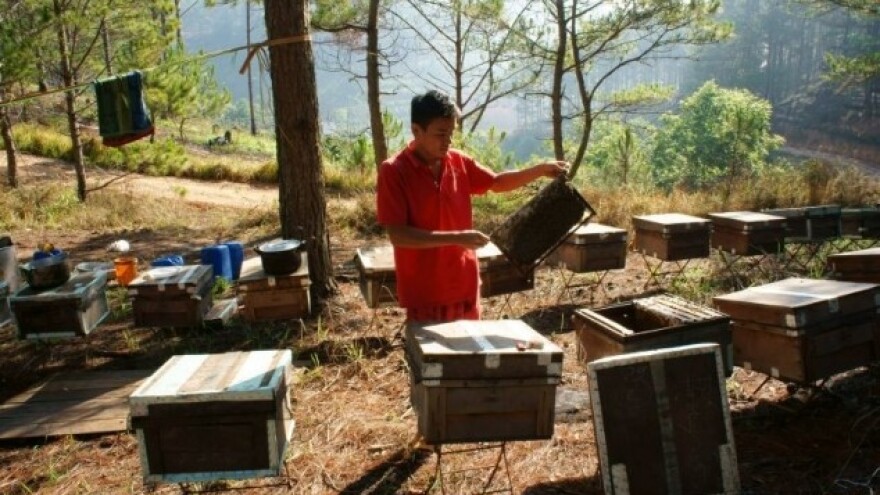 Završni radovi oko pčelinjih zajednica!