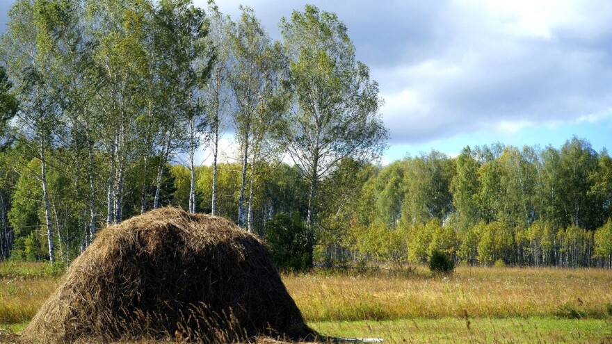 Livada traži njegu, a ne samo gazdu