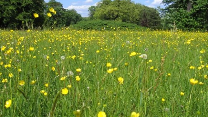 Održani Dani travnjaka 2009.