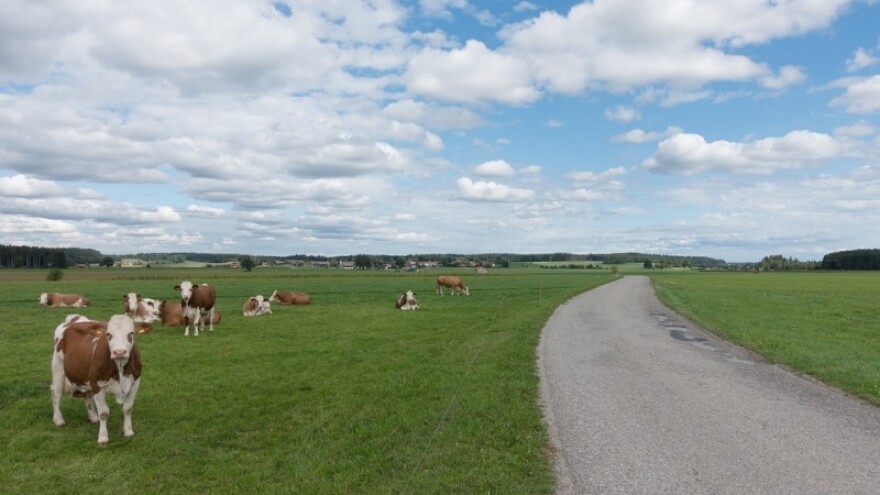Što mislite o zelenim plaćanjima?