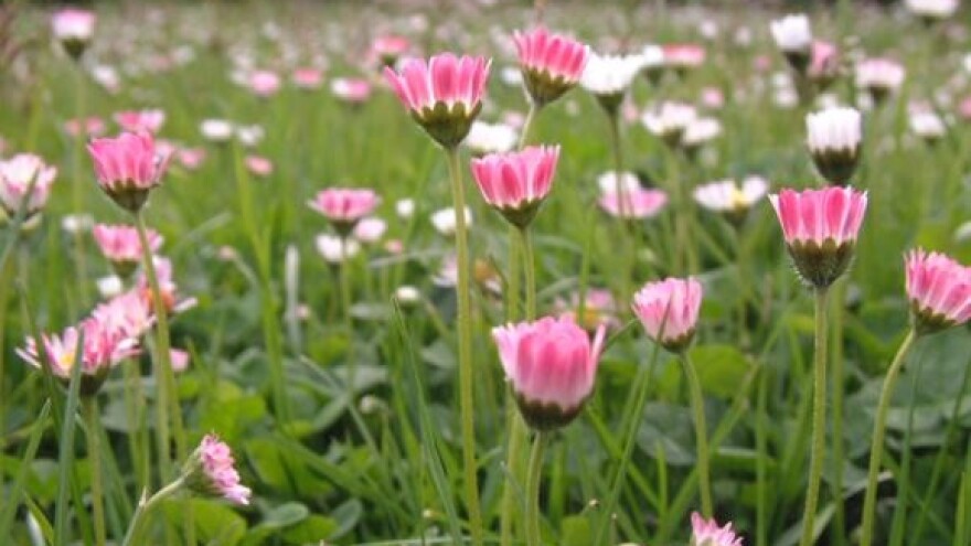 Hrvatsko-njemački okrugli stol o ekološkoj poljoprivredi