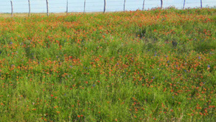 Umaško poljoprivredno zemljište propada