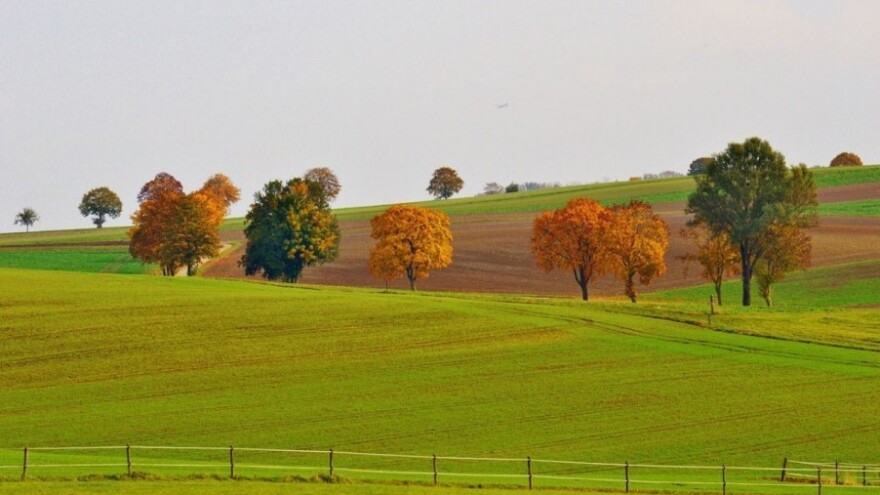 Zabrana prenamjene trajnih travnjaka i pašnjaka!