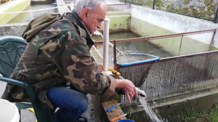 Marko Livajušić: Od hobija do najvećeg ribogojilišta u svom kraju