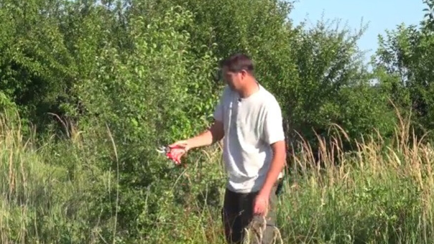 Sve potrebno za zdravlje nalazi se u prirodi