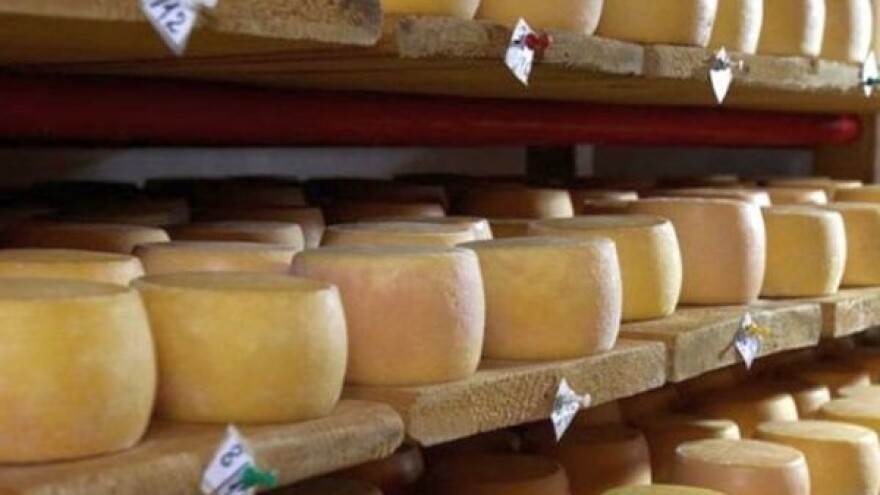 Milijun KM za zaštitu livanjskog sira!