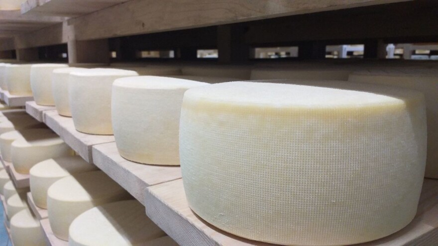 Livanjska mljekara ima najveću zrionicu sira u regiji