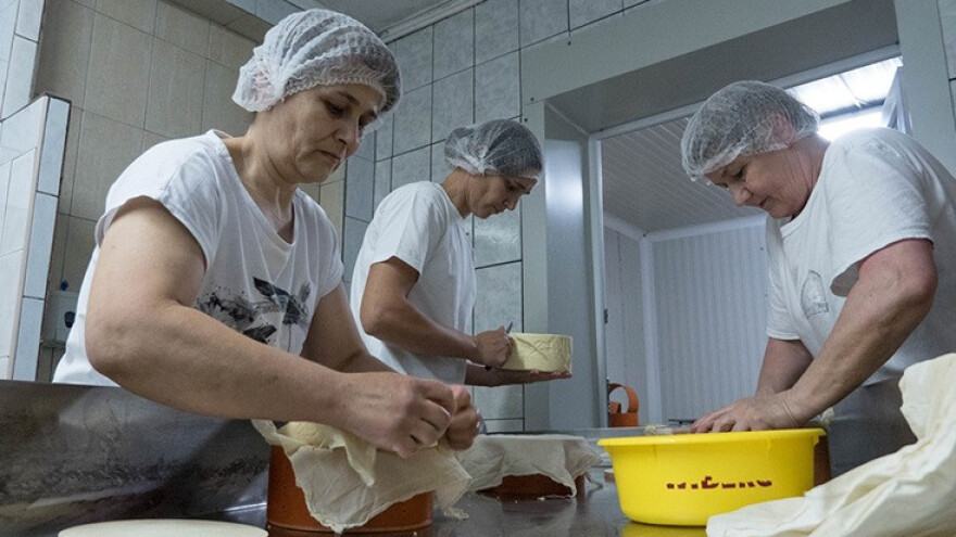 Prave najbolji sir na Balkanu - i u BiH se može uspjeti!