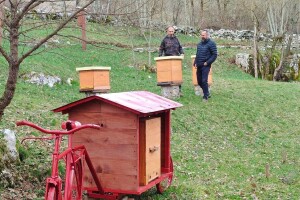 Posjetili smo prvi pčelarski park u BiH: Evo gdje se nalazi