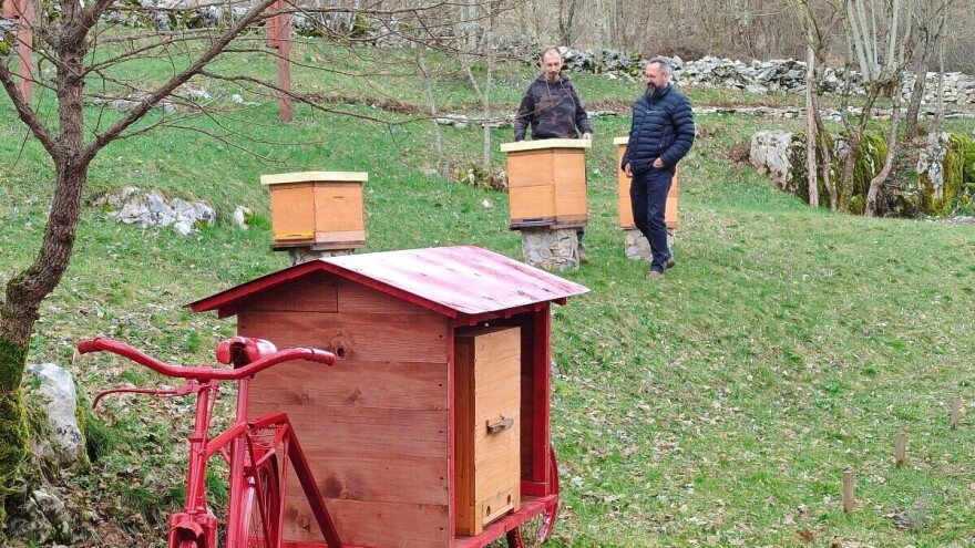 Posjetili smo prvi pčelarski park u BiH: Evo gdje se nalazi