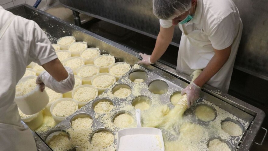 Šemsudin Dedić: Pomoć mljekarima ne treba svesti samo na poticaje, već modernizaciju i razvoj