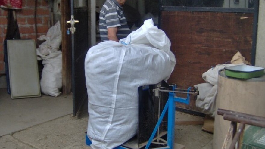 Ljekovito bilje je isplativije od kukuruza