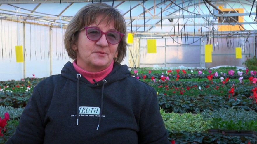 Zimsko cvijeće obitelji Jakeljić - kako ga njegovati?