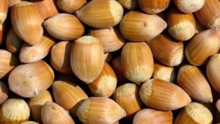 Podijela znakova "Hrvatska kvaliteta" i "Izvorno hrvatsko"