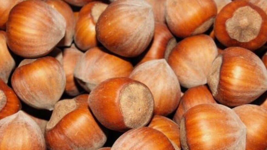 Suzbijanje štetnih organizama u nasadima lijeske