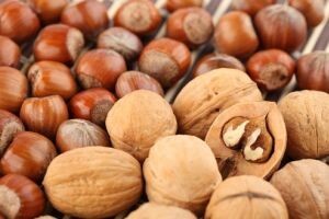 Ferrero proizvodnju lješnjaka seli u Srbiju