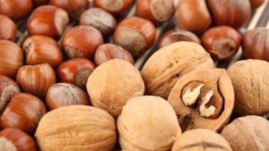 Ferrero proizvodnju lješnjaka seli u Srbiju