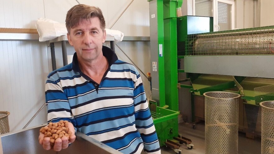 Mario Bekčec: Dug je put od lijeske do kvalitetnih lješnjaka