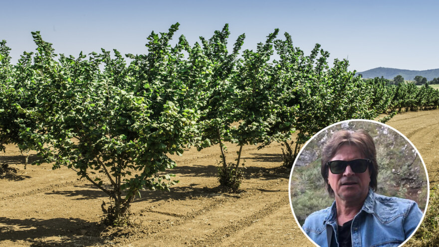 Alen Islamović: Za moje lješnike zanima se i Ferrero Rocher