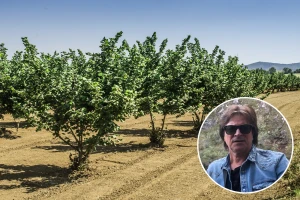 Alen Islamović: Za moje lješnjake zanima se i Ferrero Rocher