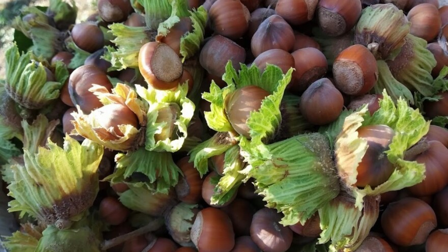 Carski biznis u selu Krajišnik: Iskoristili puste njive i stvorili brend