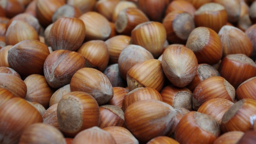 Fali im lješnjak za Nutellu, posadit će 20.000 hektara novih zasada