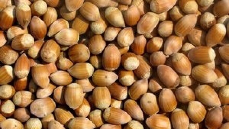 Više od milijun kuna iz IPARD-a