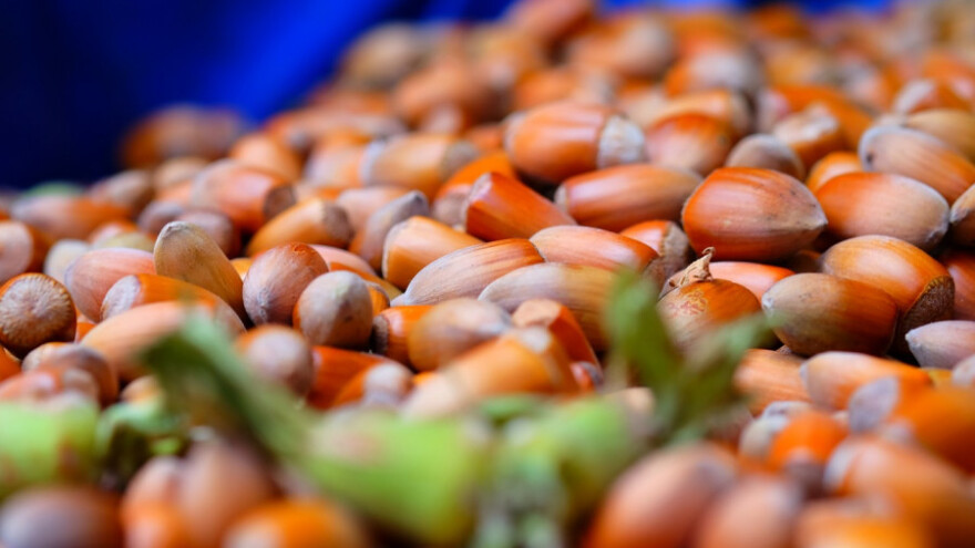 Podrška za uzgoj trešanja, jagoda i lješnjaka