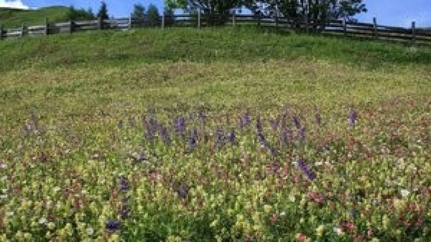 Prodaja poljoprivrednog zemljišta u Općini Plaški