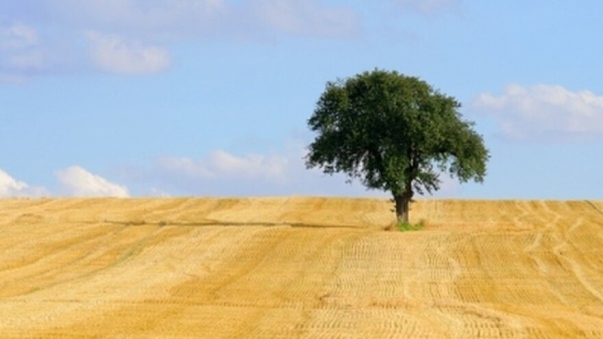 Izgledi za Hrvatsku za 18.07.2014-20.07.2014