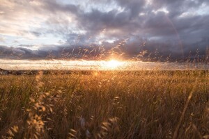 Sunčano, sparno i kišno!