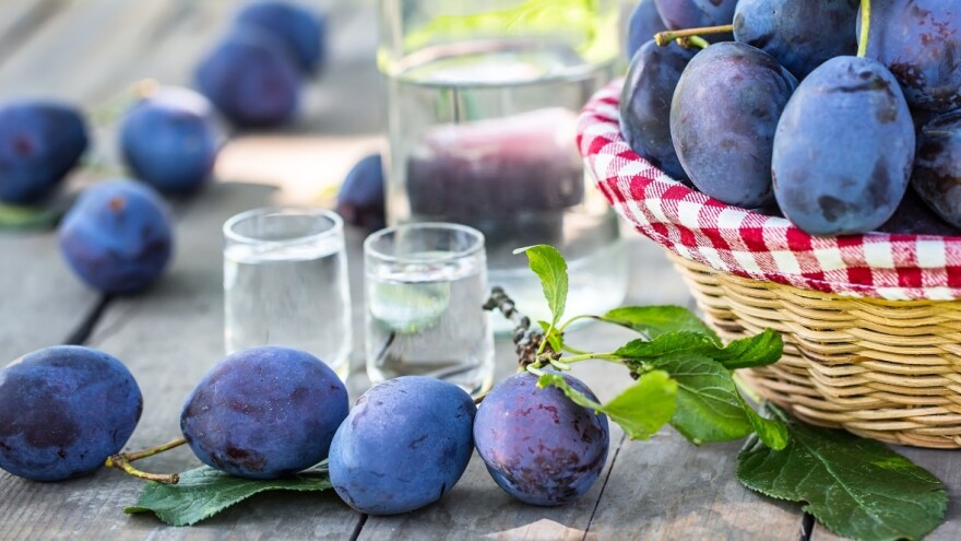 Šljivovica kao nematerijalno kulturno nasleđe čovečanstva?