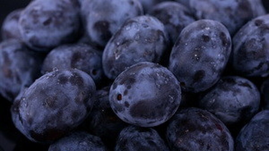 Potrebna bolja organizacija u proizvodnji voća