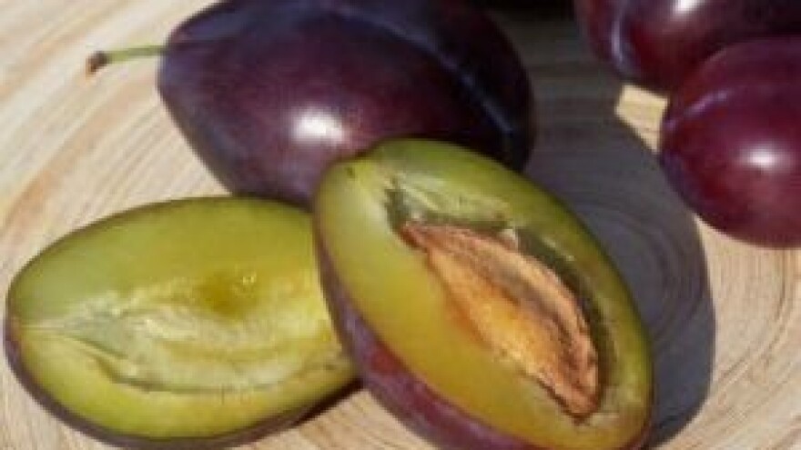 Preventivno zaštitite koštićave voćke