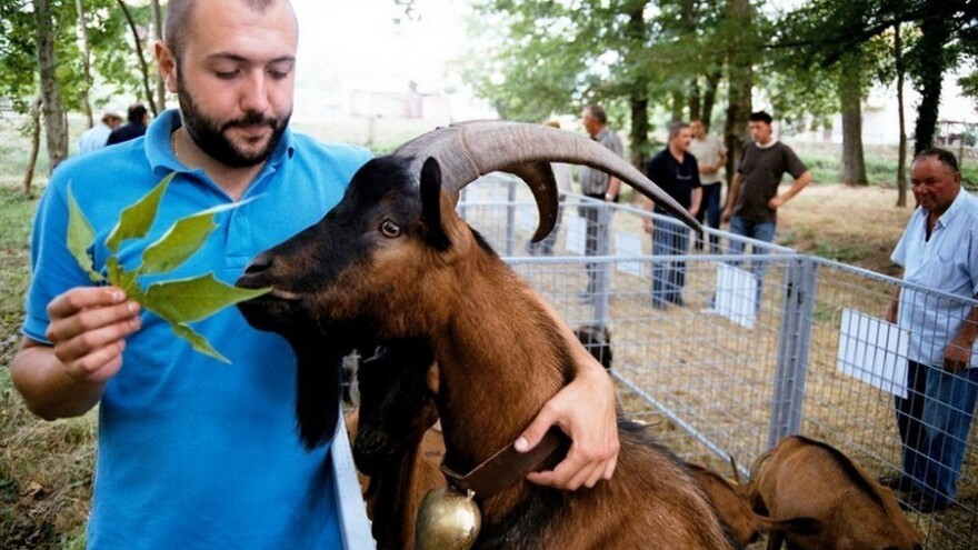 Kako očuvati izvorne pasmine životinja?
