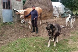 Ljubica Zarić: Sreća me uporno zaobilazi, ali bila bi baš to da uspijem sačuvati štalu