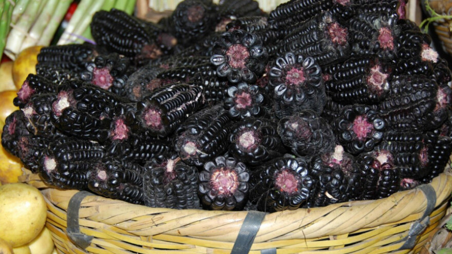 Ljubičasti kukuruz - stara sorta vraća se na velika vrata