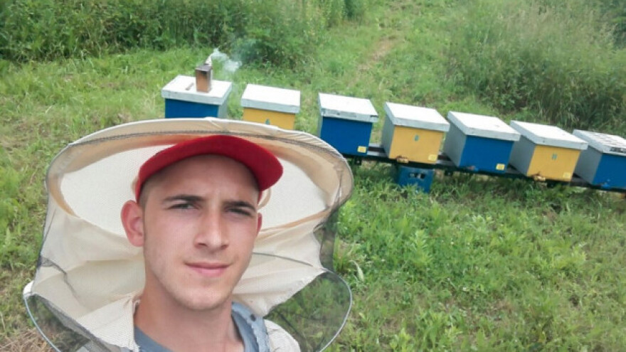 Ekološko pčelarstvo - šansa i potencijal