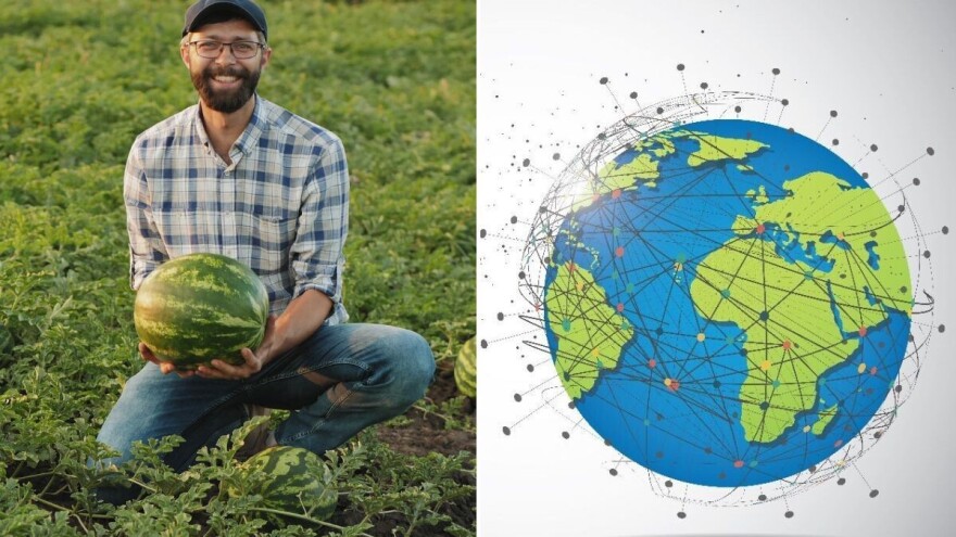 Letnji hit na tržištu: Kako lubenica pokreće globalnu trgovinu