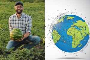 Ljetni hit na tržištu: Kako lubenica pokreće globalnu trgovinu