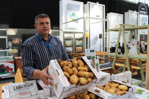 Ljubuški rani krumpir vraća se na hrvatsko tržište