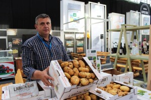 Ljubuški rani krumpir vraća se na hrvatsko tržište