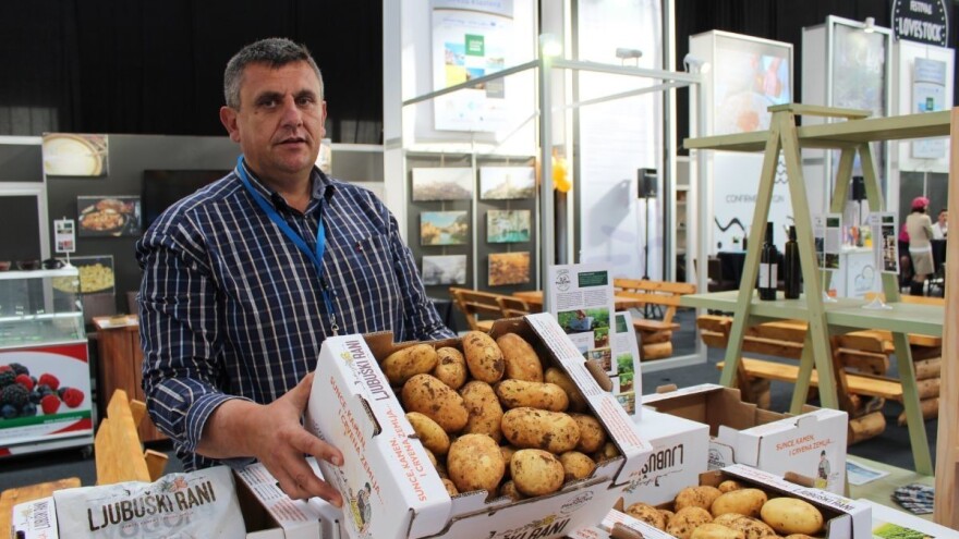 Ljubuški rani krumpir vraća se na hrvatsko tržište