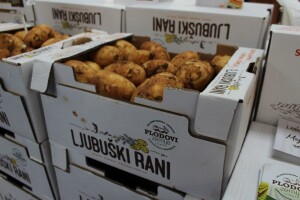 Dani mladog krumpira - Ljubuški rani 2019