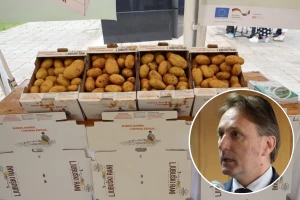 Raste poljoprivredna proizvodnja u Ljubuškom, krompir uranio 15 dana
