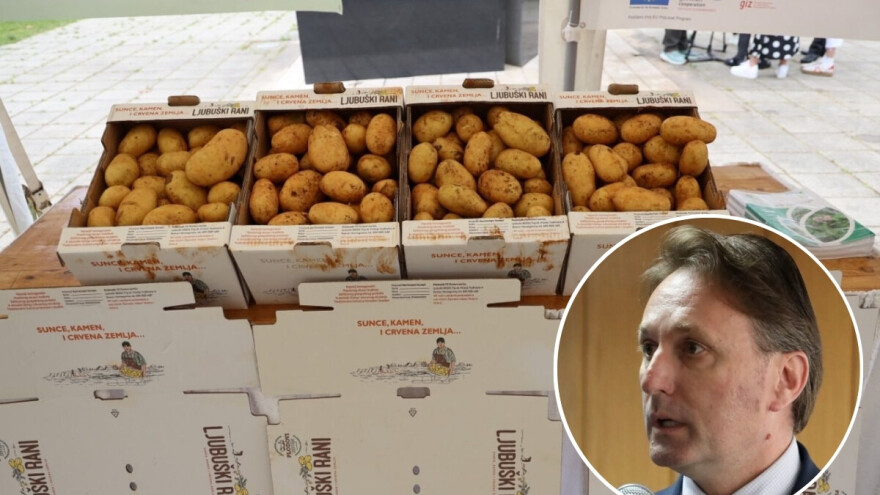Raste poljoprivredna proizvodnja u Ljubuškom, krompir uranio 15 dana