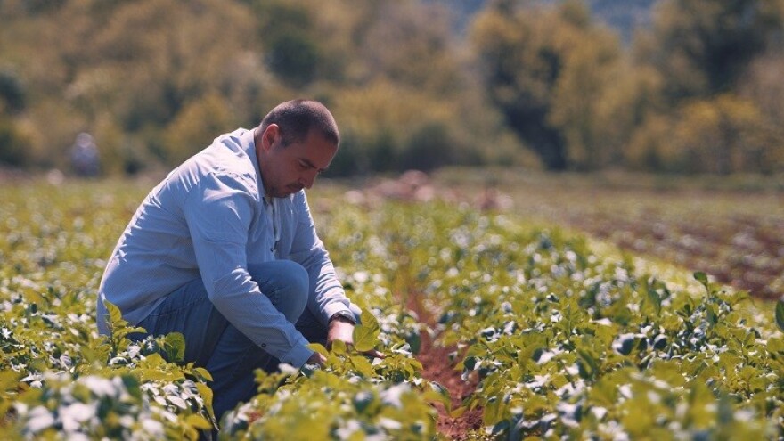 Ambalaža privlači, a kvalitet ljubuškog ranog zadržava potrošača