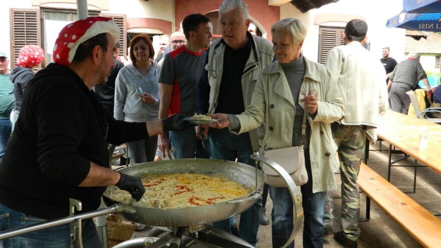 Radmilo Pecić: Upotreba gljiva zahteva edukaciju