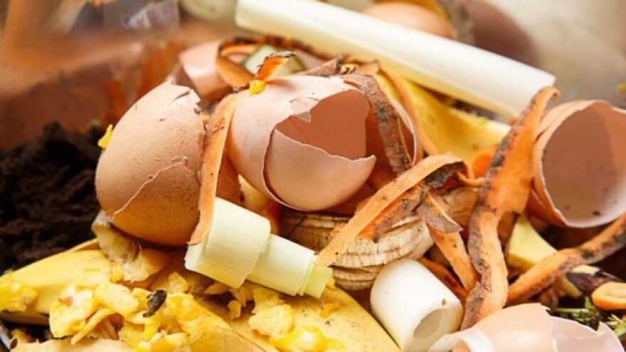 Ljuske od jaja - dodatan izvor kalcijuma za biljke