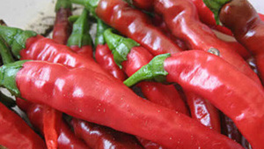 Baranja, skriveni turistički biser